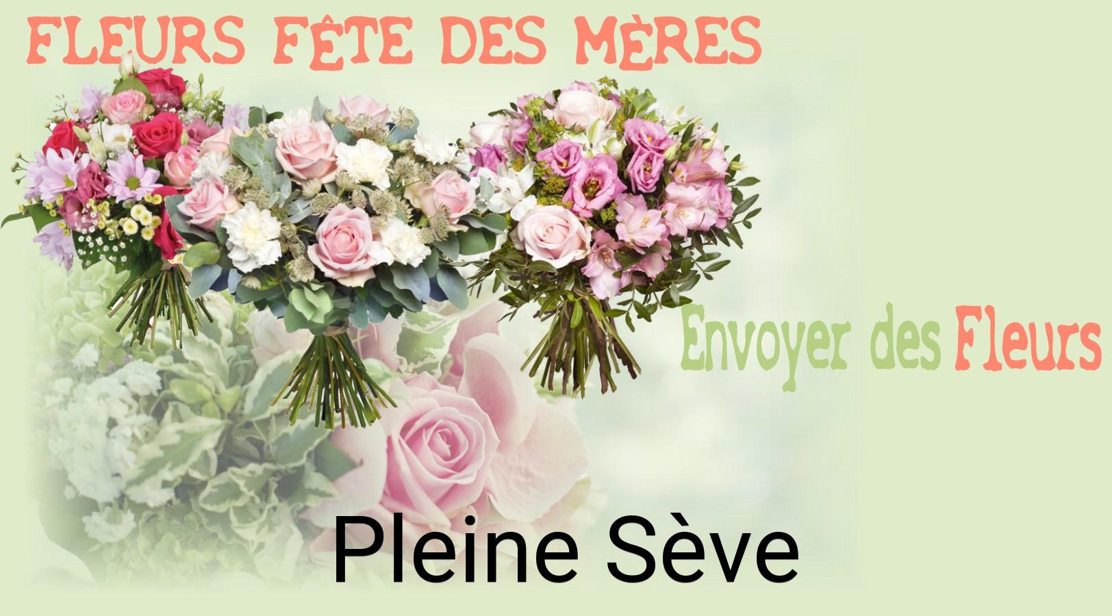 Bouquet de Fête des Mères livré à Pleine-Sève
